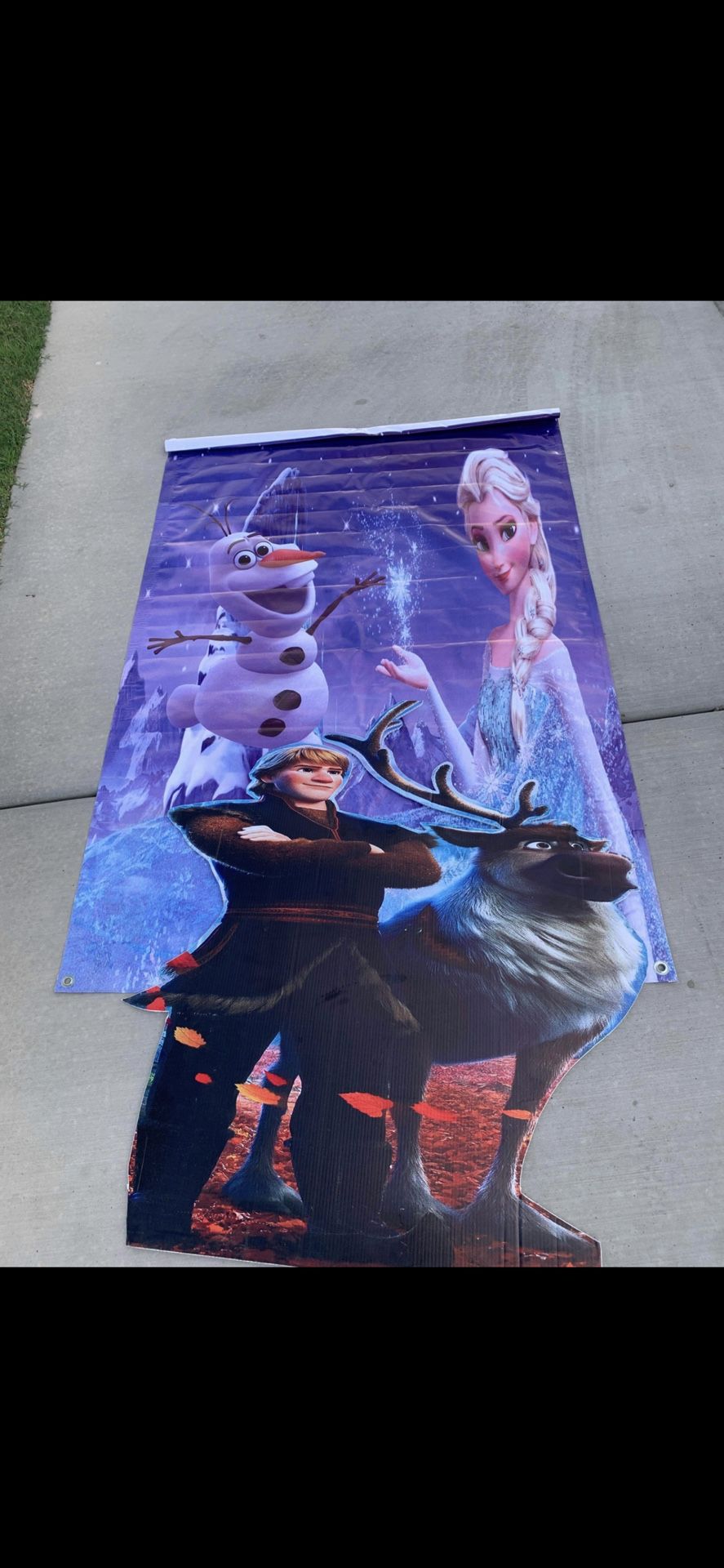 Frozen Party Decor