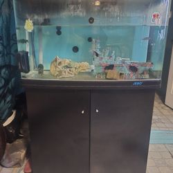 Jebo 60 Gallon Fish Tank