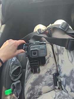 Go Pro With Harness