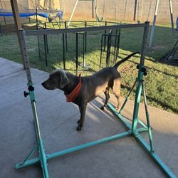 Kids Adjustable Gymnastics Bar 