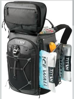 Backpack cooler