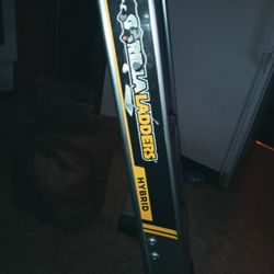 Gorilla Ladder Hybrid
