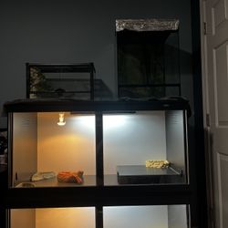 Reptile Enclosures, Accessories And Supplies