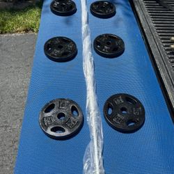 New Barbell With Easy Grip Style Weights