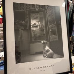 Howard Berman / TV dog