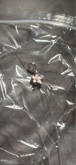 Pandora charm