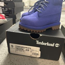 Toddler Shoes ( Timberland Size 5c )