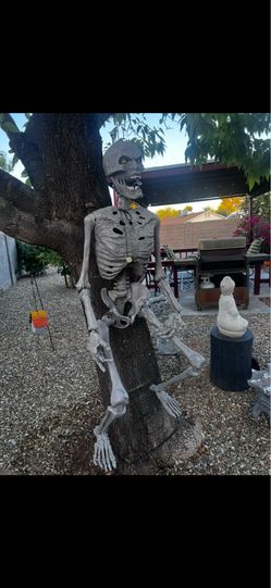 Full size eyes light up posable skeleton 60.00 32nd st and bell rd
