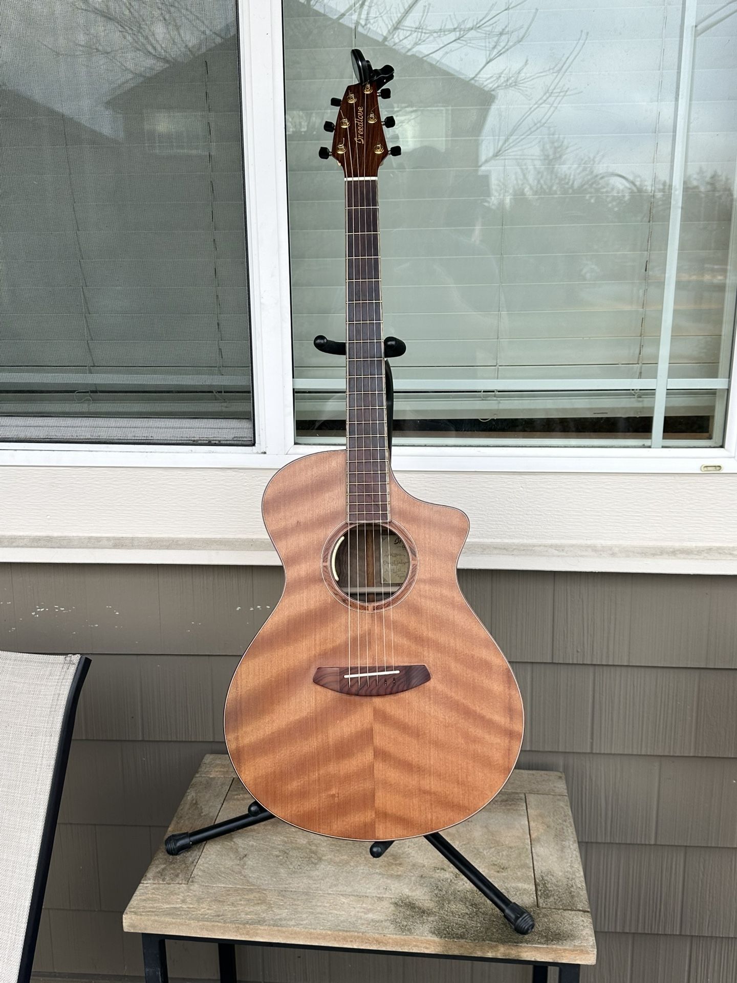 Custom Breedlove - One Of A Kind!