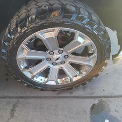 Denali Reps 