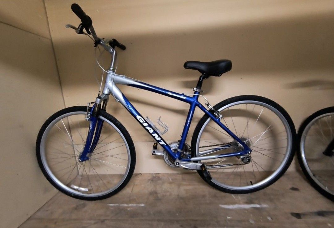 Giant Bike