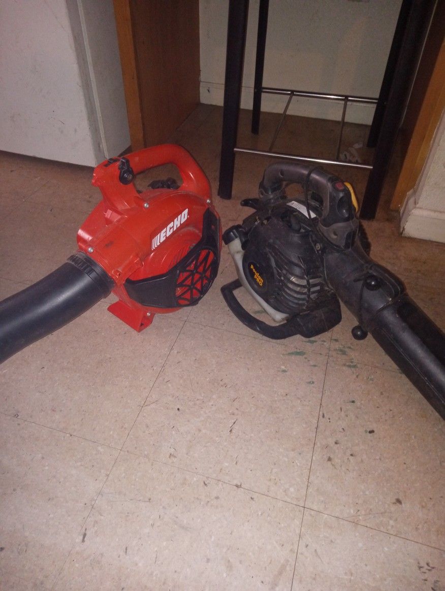 Leaf Blower Echo PB 2025 &nPoulan Pro