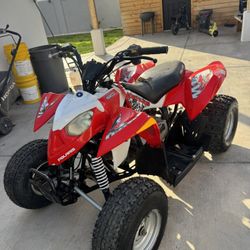 Polaris 90cc