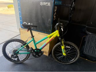 Nishiki 20 inch bike