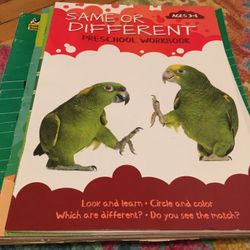 Lot Of Toddler /preschool Workbooks 