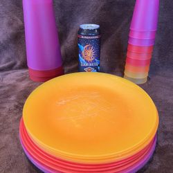 Outdoor Picnic Plates & Glasses (24 Pieces)