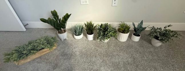 Fake Plants