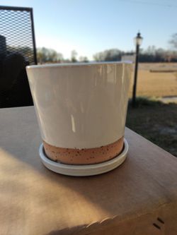 Flower Pots