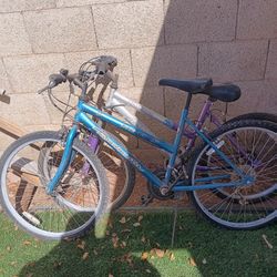 2 Bikes 