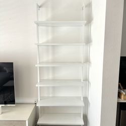 Wall ladder Shelf