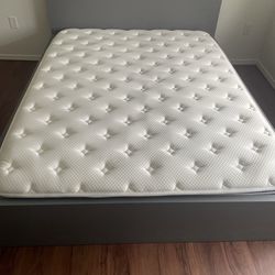 Queen Bed and Mattress