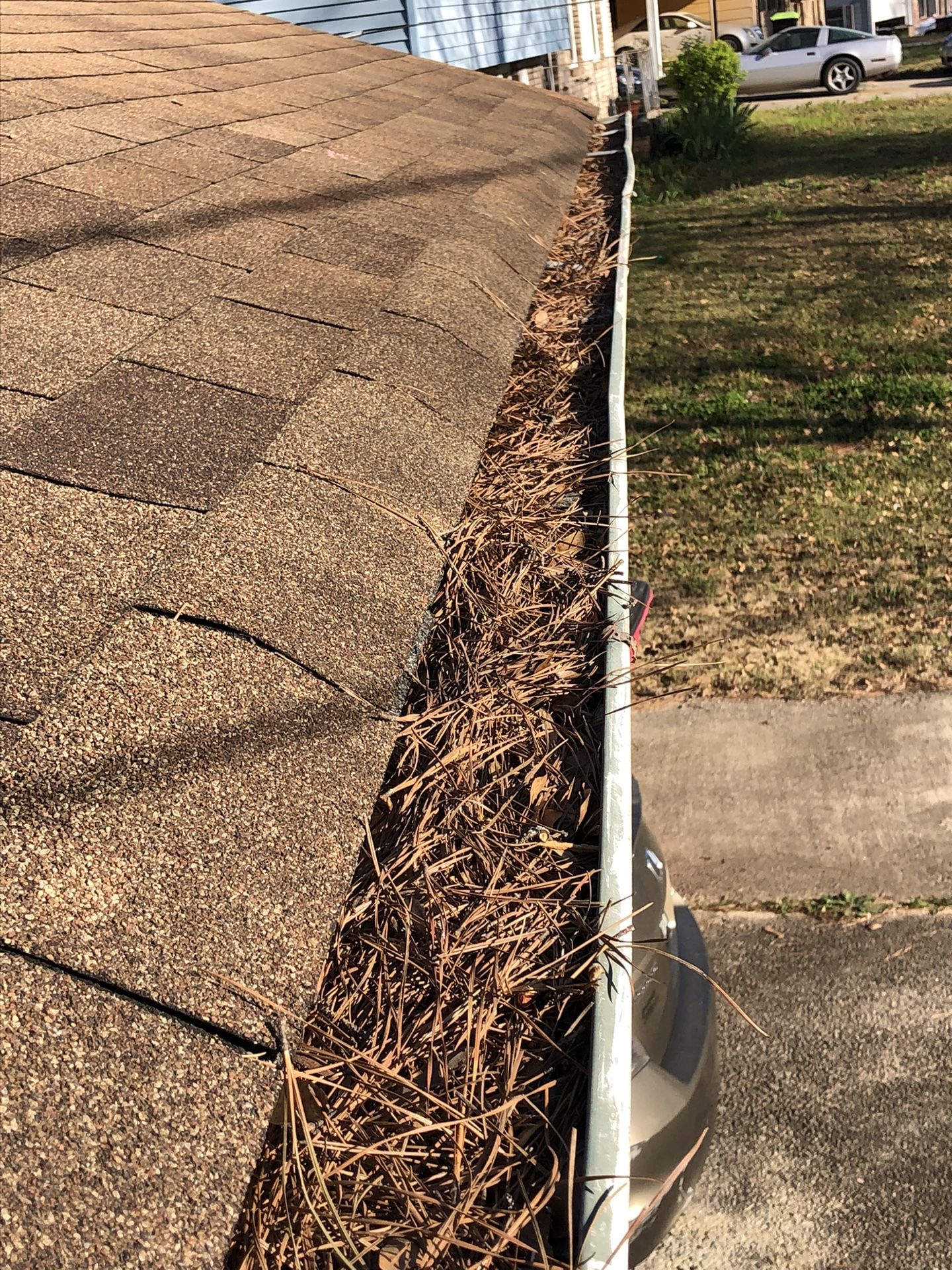 Gutter Cleaning