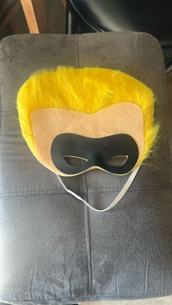 Incredible DASH Face Mask Only 