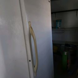 Upright freezer