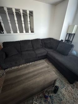 $300 or best offer…Navy couch with Chase smoke free, pet free