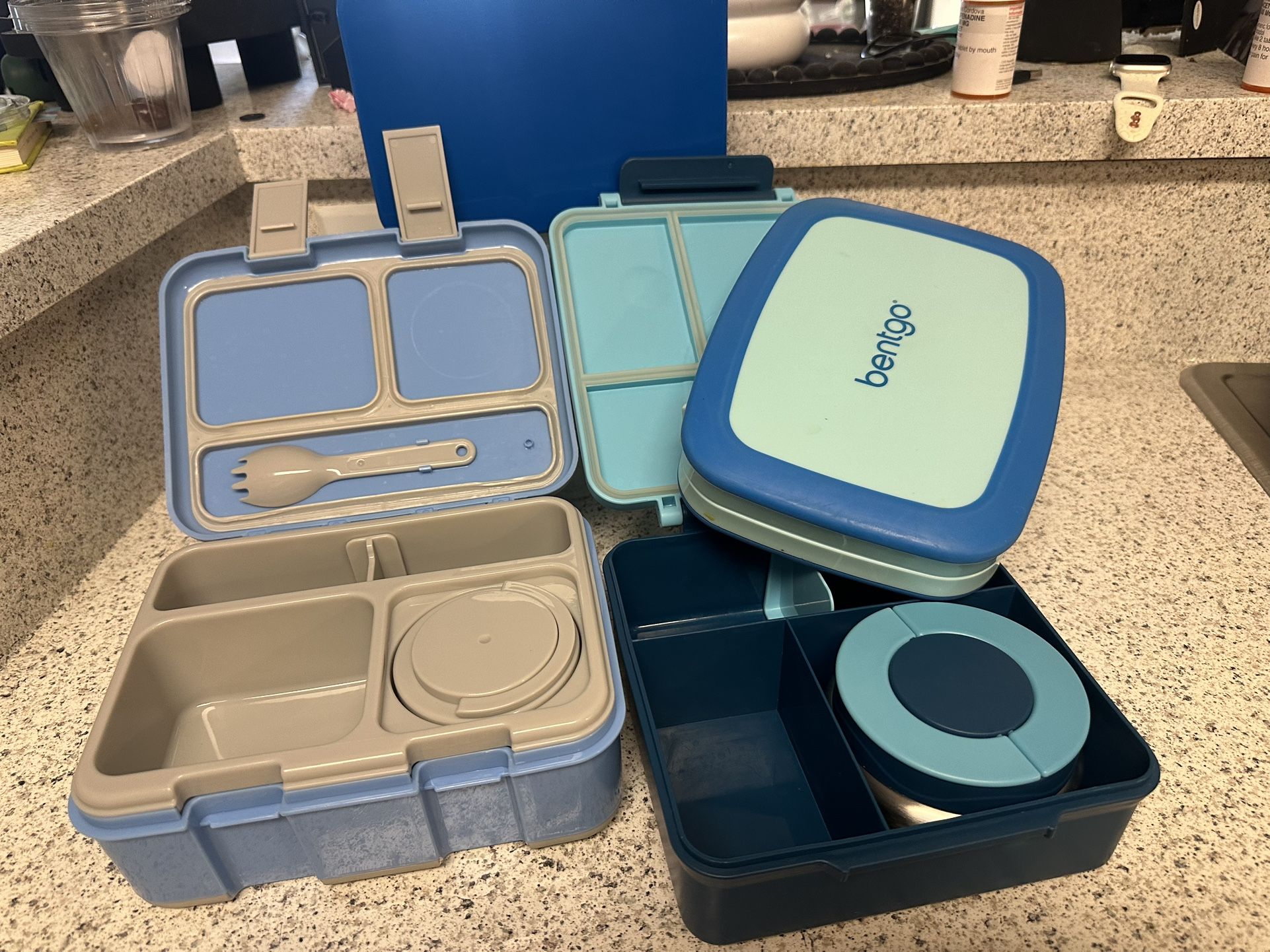 Bento Lunch Box 
