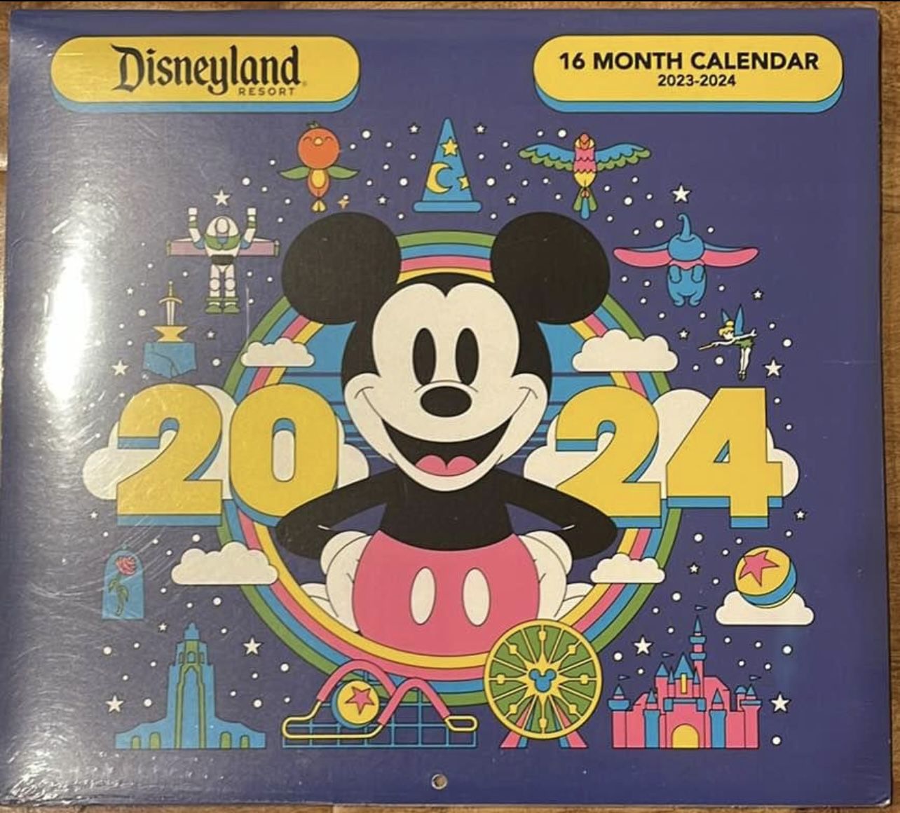Disney 16 Month Calendar