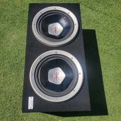 12" Sony EXPLOD SUBWOOFERS
