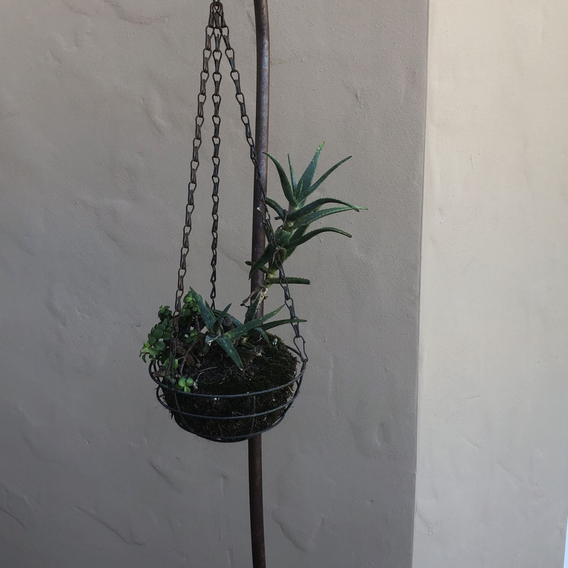 66 Inch Plant Stand