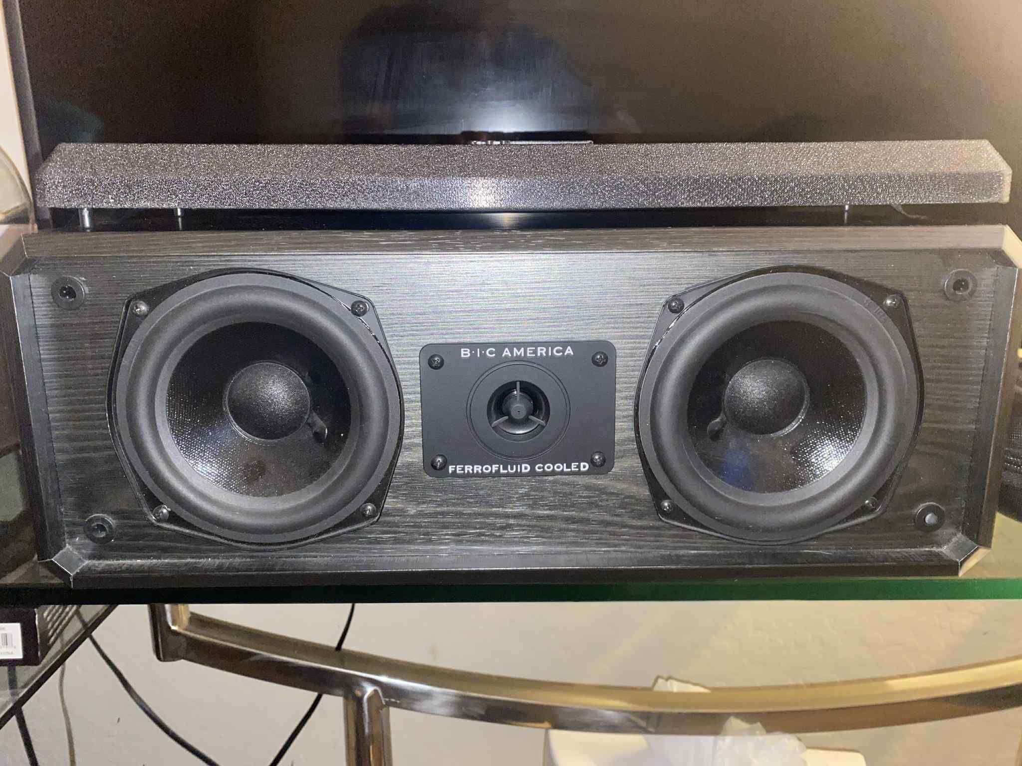 Bic America Center Speaker