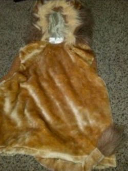 Lion costume