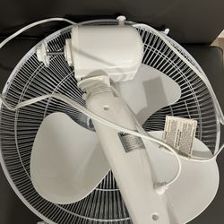 Fan