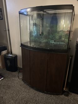 36 Gal Fish Tank With Stand