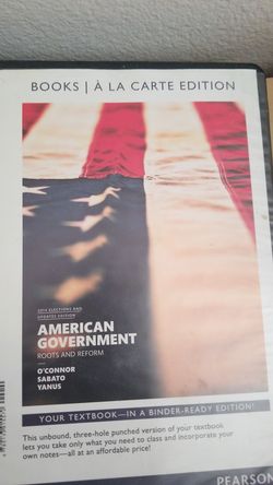 american government