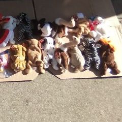 Beanie Babys