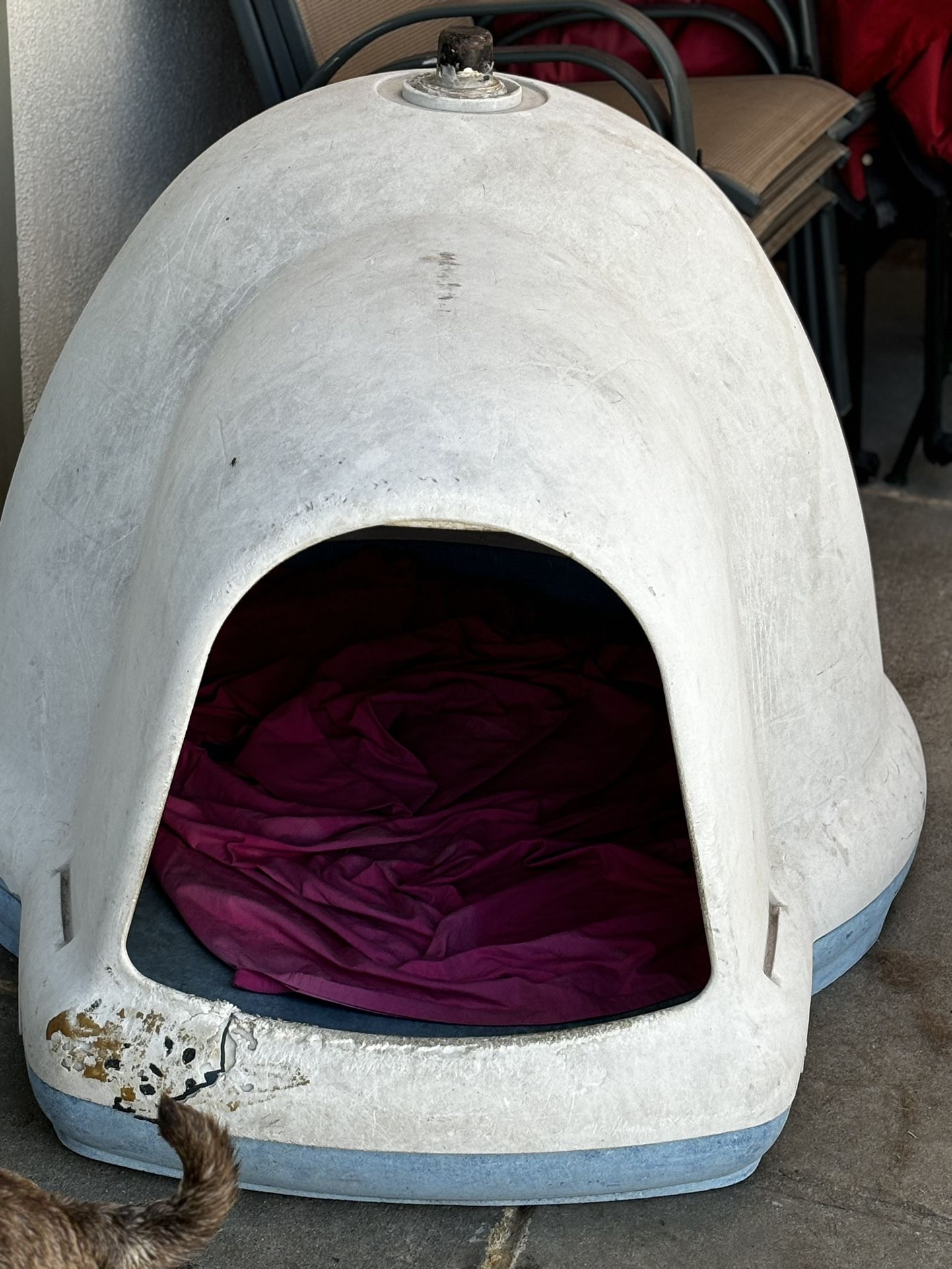 Igloo Dog House