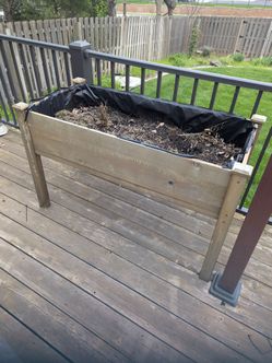 Cedar box