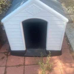 Dog House 