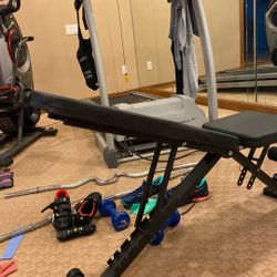 Adjustable Workout Bench 