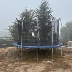 Free Trampoline