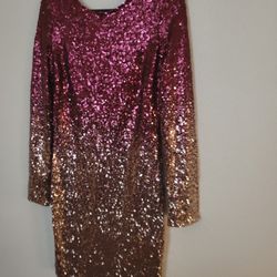 Sequin Dress