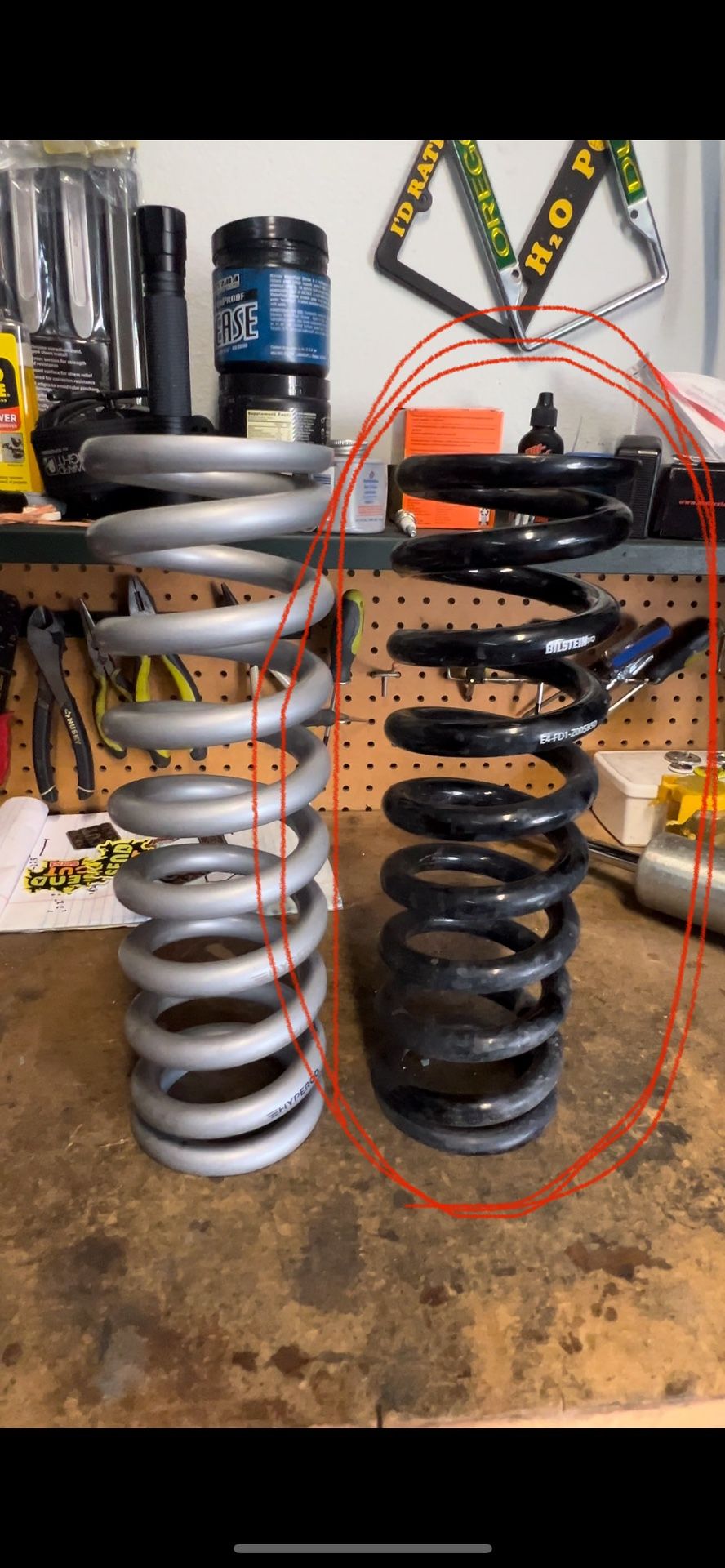 Bilstein 600 Lb Springs