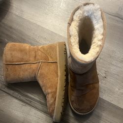 Well Loved UGGs 