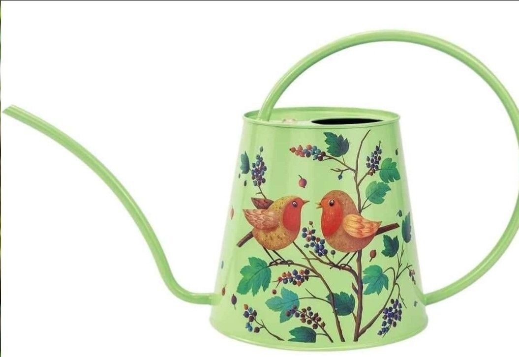 Berry&Bird House Plants Watering Can - Indoor & Outdoor 1/2 Gallon Stainless Steel Water Can with Long Spout Garden Decoration for Flowe...