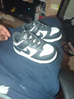 Panda Dunk 6c