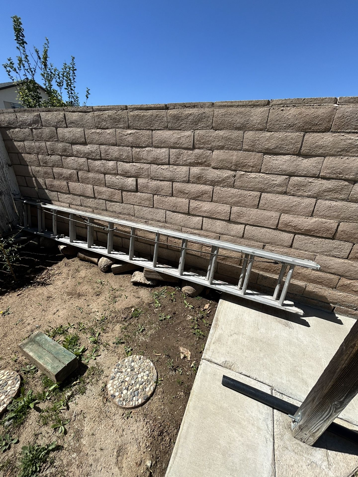 12ft Extension Ladder
